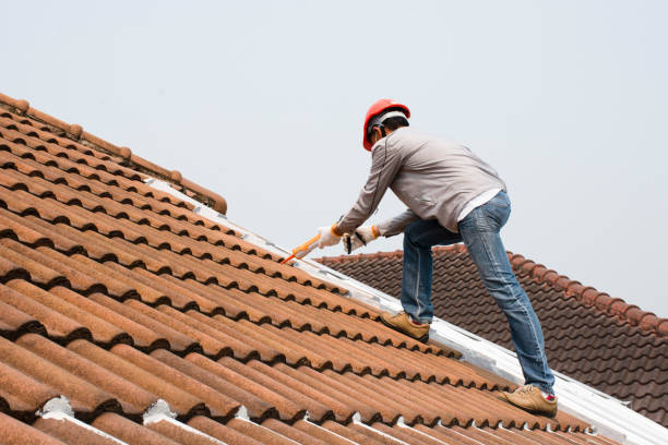 Best Skylight Installation and Repair  in Palmetto, GA